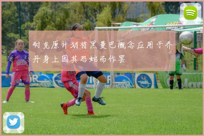 耐克原计划将黑曼巴概念应用于乔丹身上因其恐蛇而作罢