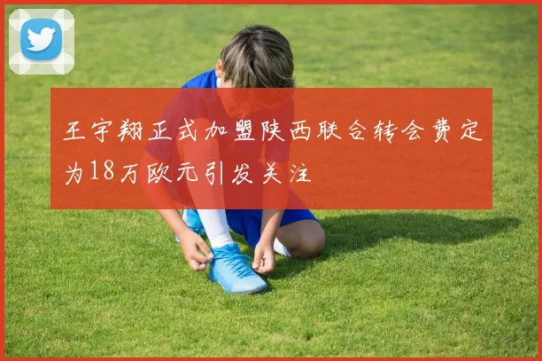 王宇翔正式加盟陕西联合转会费定为18万欧元引发关注