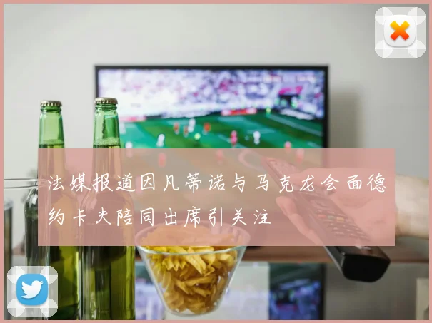 法媒报道因凡蒂诺与马克龙会面德约卡夫陪同出席引关注
